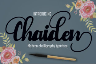 Chaiden Font: A Web Designer’s Honest Review for Digital Branding